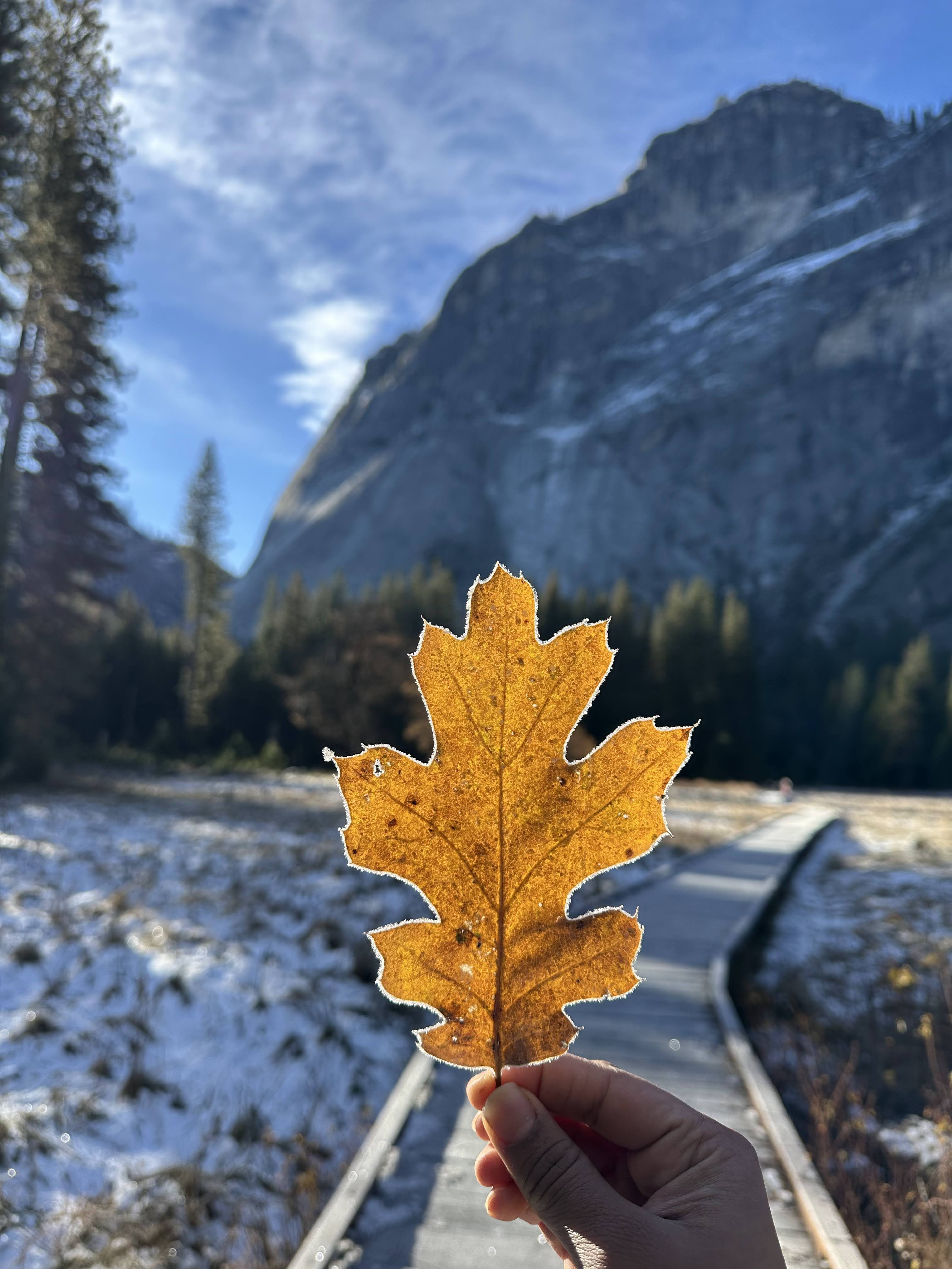 Yosemite in snow