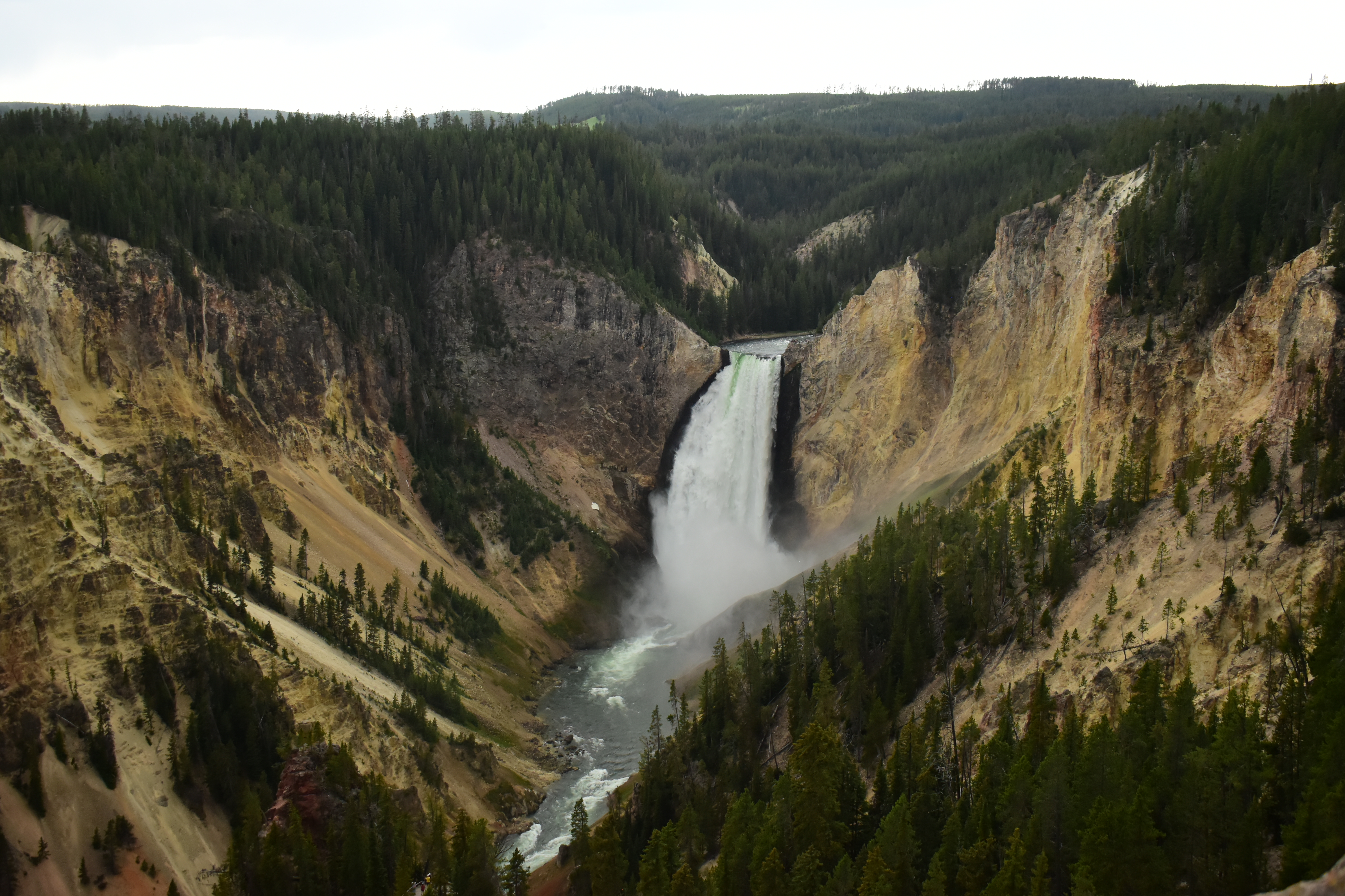 Yellowstone Falls