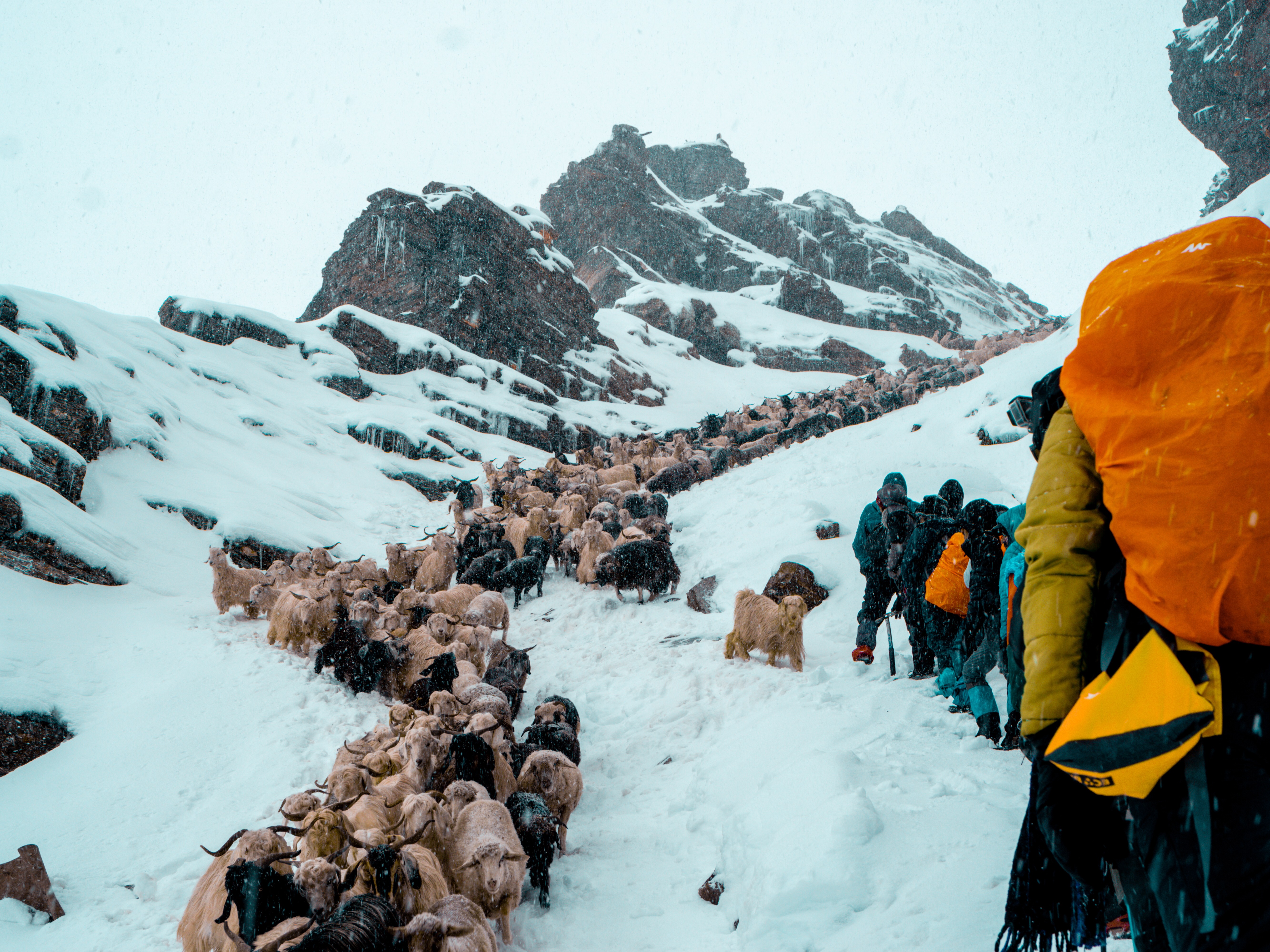 Rupin Pass Snow Gully