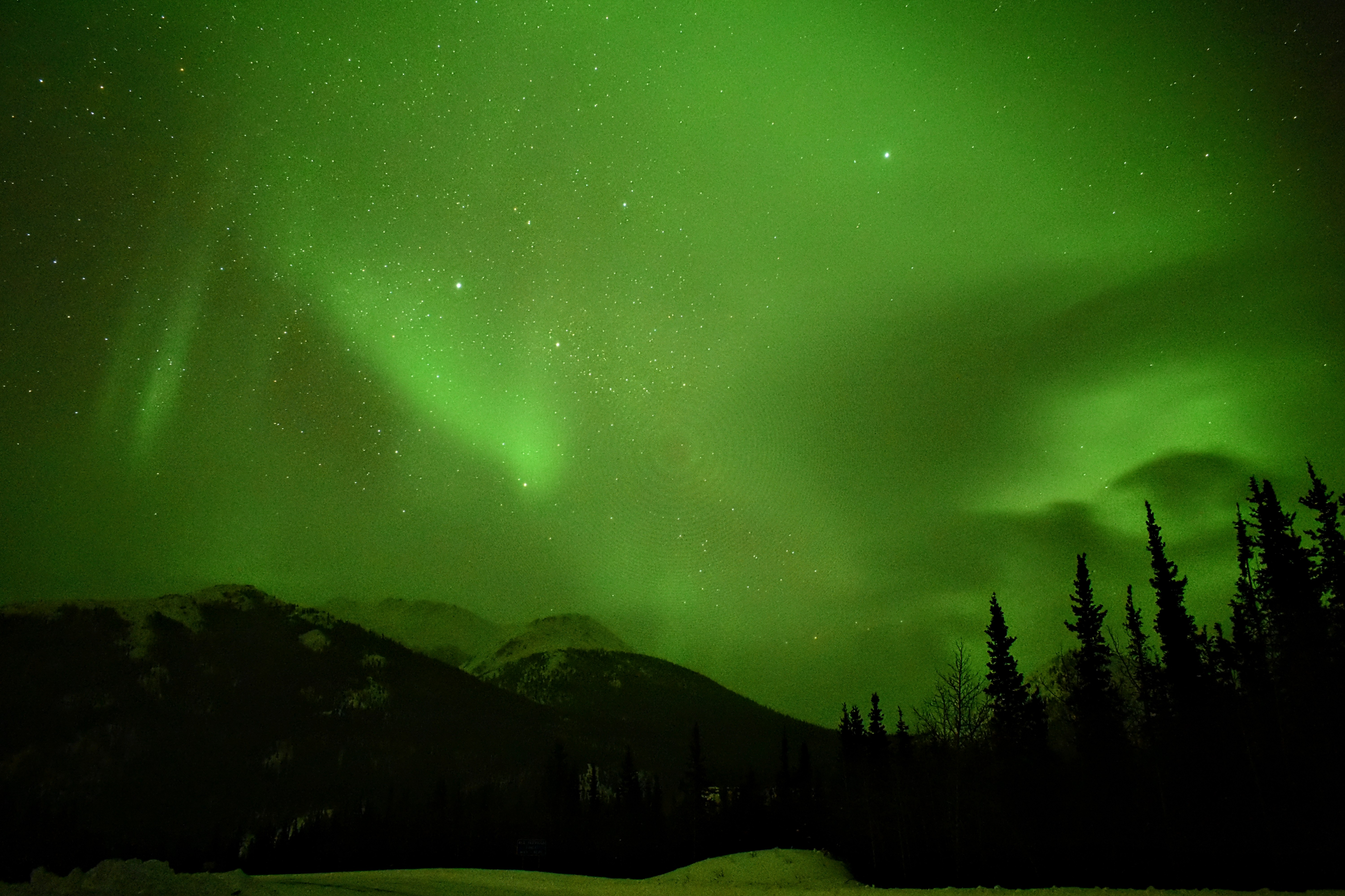 Northern Lights Alaska